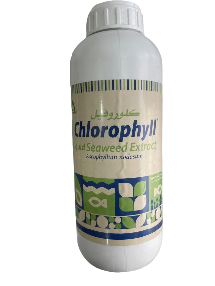 Liquid Seaweed Extract
Ascophyllum nodosum