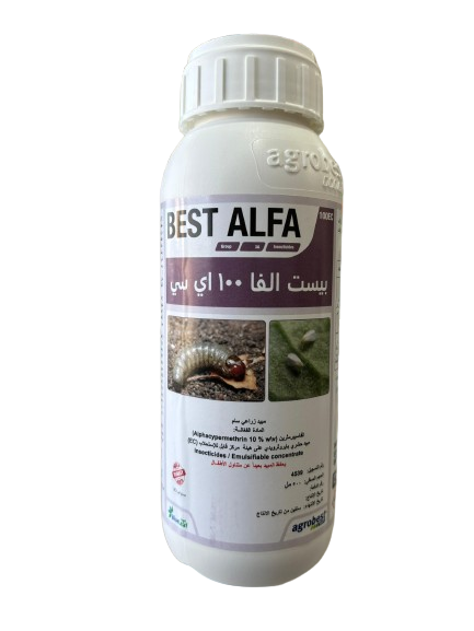 High-performance pyrethroid insecticide for effective pest control.
Active ingredient:
(Alphacypermethrin 10% wil)
A pyrethroid insecticide in emulsifiable concentrate form (EC)
Insecticides / Emulsifiable concentrate