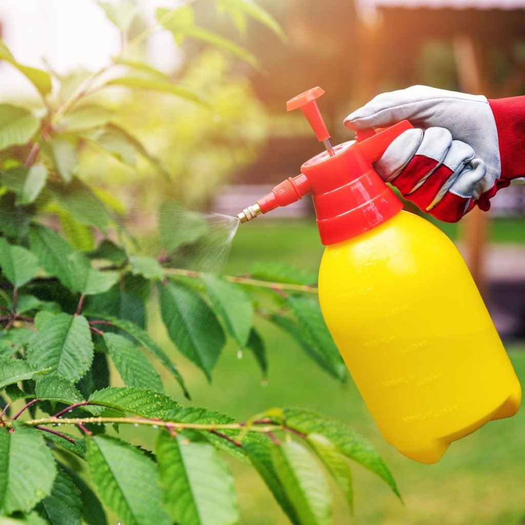 Garden_Sprayer_iStock_973809618